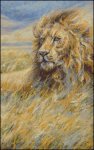 (image for) Leo
